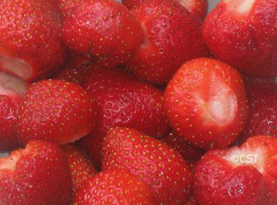 Erdbeeren