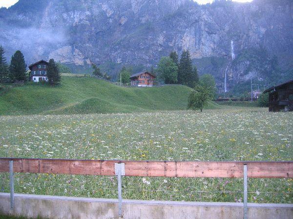 Wiese in Kandersteg