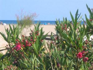 Blick auf den Strand von Les Ayguades