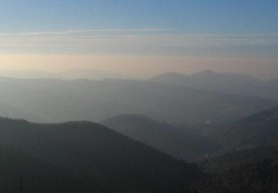 Aussicht vom Kaltenbronn