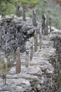 Parole de Lauzes von Domingo Cisneros