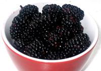 Brombeeren